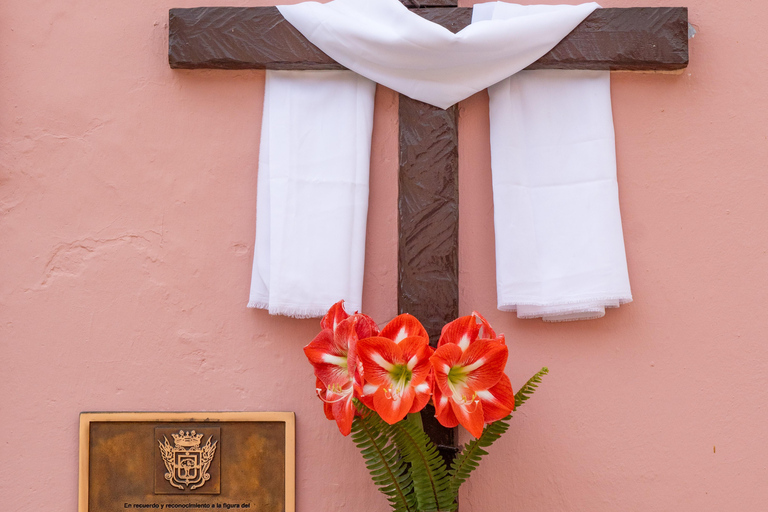 Balades Découverte Teide - La Orotava - Icod de los Vinos