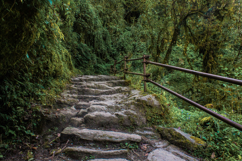 Pokhara: Poon Hill Culture Trek & Village Homestays (4-Day)