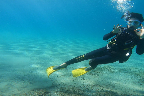 Costa este de Atenas: descubra el buceo en Nea MakriCosta este de Atenas: descubre el buceo en Nea Makri