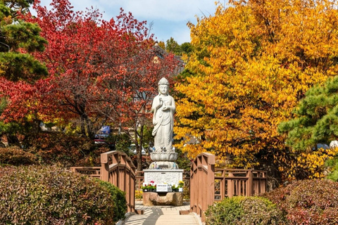 Modern Seoul Tour: Stylish Gangnam, Family-Friendly