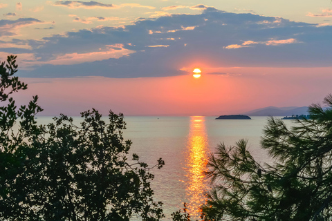 Saloniki: Halkidiki/Sithonia Swim, Sunset &amp; Olive Tour
