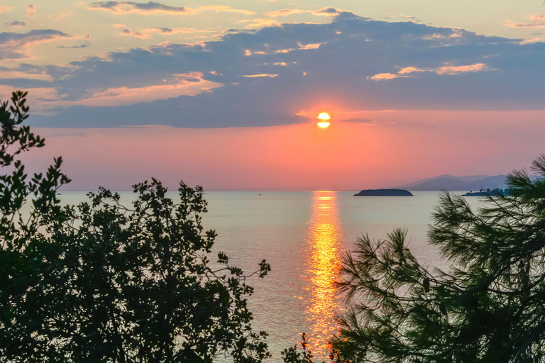Saloniki: Halkidiki/Sithonia Swim, Sunset &amp; Olive Tour