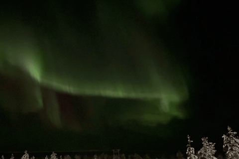 VIP Northern Lights Aurora Chase – Levi, Finnish Lapland