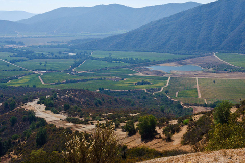 Chili : excursion d&#039;une journée à Viña del Mar et Valparaíso au départ de SantiagoVisite privée en chinois