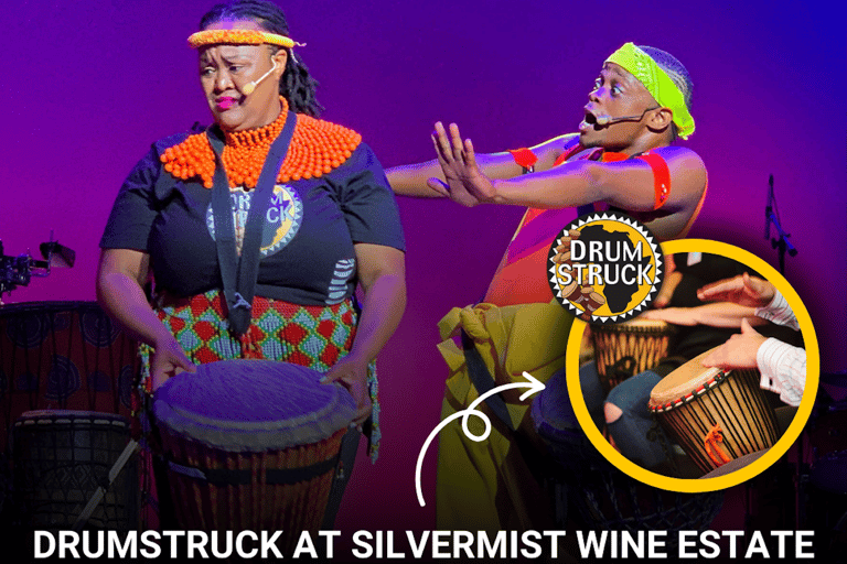 Le Cap : dégustation de vins au domaine Silvermist et spectacle DrumstruckLe Cap : Dégustation de vins au domaine Silvermist et spectacle Drumstruck