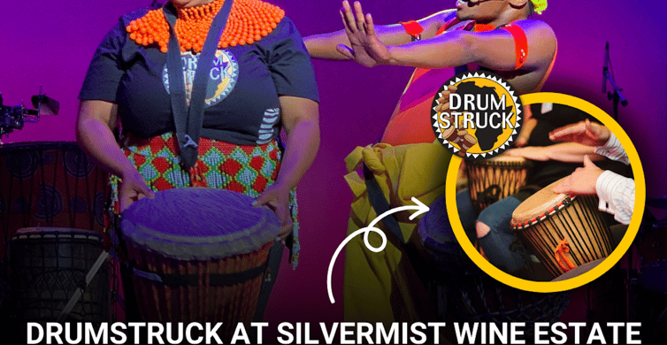 Cape Town: Silvermist Estate Wine Tasting & Drumstruck Show photo 9