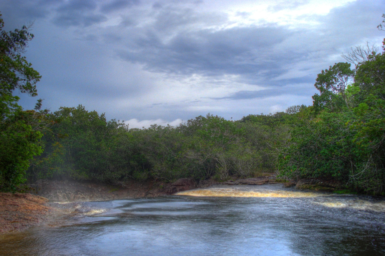 Day Tour Urubuí - Manaus (Presidente Figueiredo)