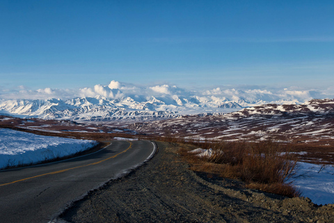 Wild Alaska: Denali Highway Scenic Journey from Fairbanks