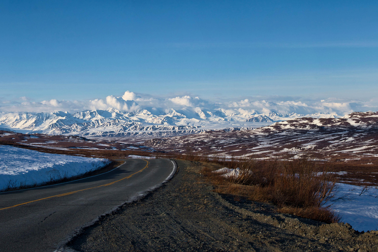 Wild Alaska: Denali Highway Scenic Journey from Fairbanks