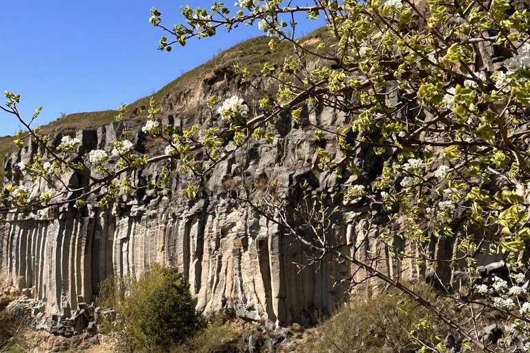 Brasov: Terra Borza Motorcycle Adventure with Lunch Brasov: Shared Terra Borza Motorcycle Adventure with Lunch