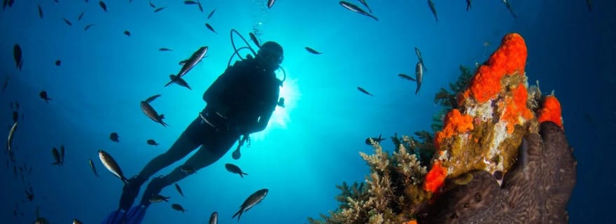 Plongée sous-marine pour débutants dans la mer cristalline de Chalcidique