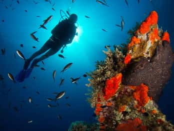 Scuba diving for beginners in crystal clear sea of Halkidiki