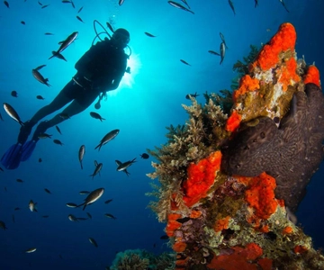 Scuba diving for beginners in crystal clear sea of Halkidiki