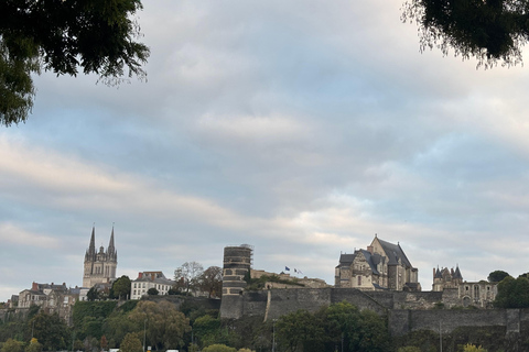 Bezoek aan Château d&#039;Angers en wijnproeverij