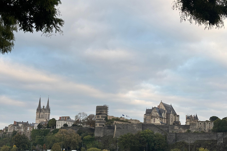 Besök på Château d&#039;Angers och vinprovning