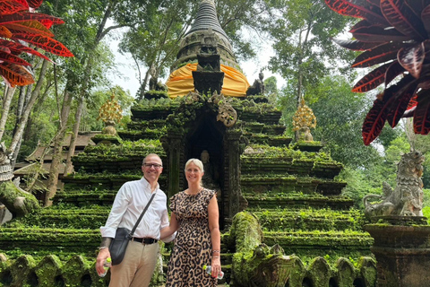 Chiang Mai: Santuario degli elefanti, sentiero dei monaci e tour di Doi SuthepPunto di incontro