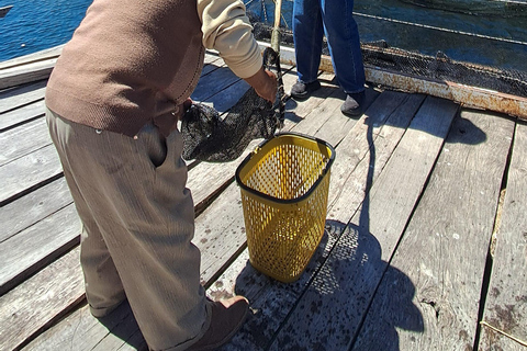 From La Paz: Private Lake Titicaca Day Trip - Tiquina