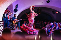Barcelona, Flamenco Show at Tablao Flamenco Cordobes - Housity