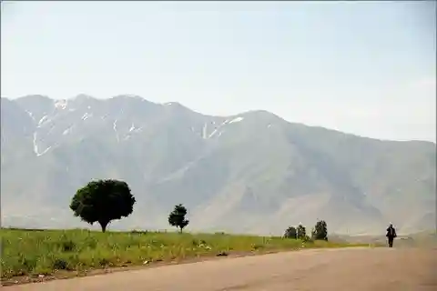 Bukhara-Shakhrisabz-Samarkand One Day Trip