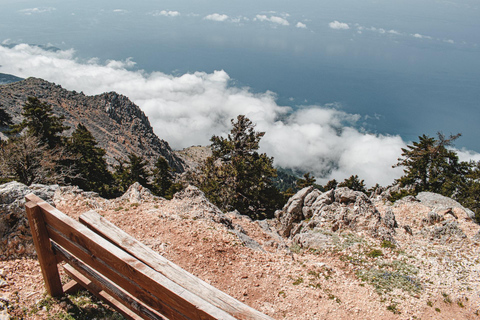 Kefalonia Ainos Premium 4x4 Van Experience Pick-up from Argostoli, Lassi, Svoronata, Lourdata Areas