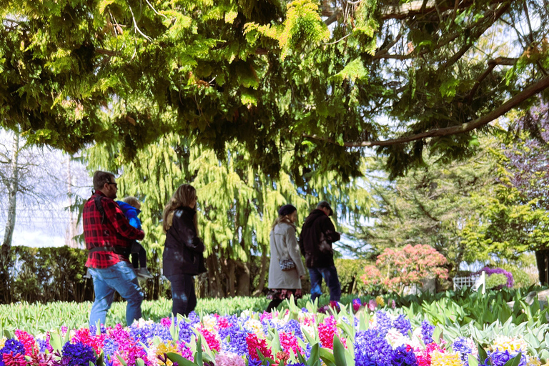 From Seattle: Tour of Skagit Valley Tulip Festival