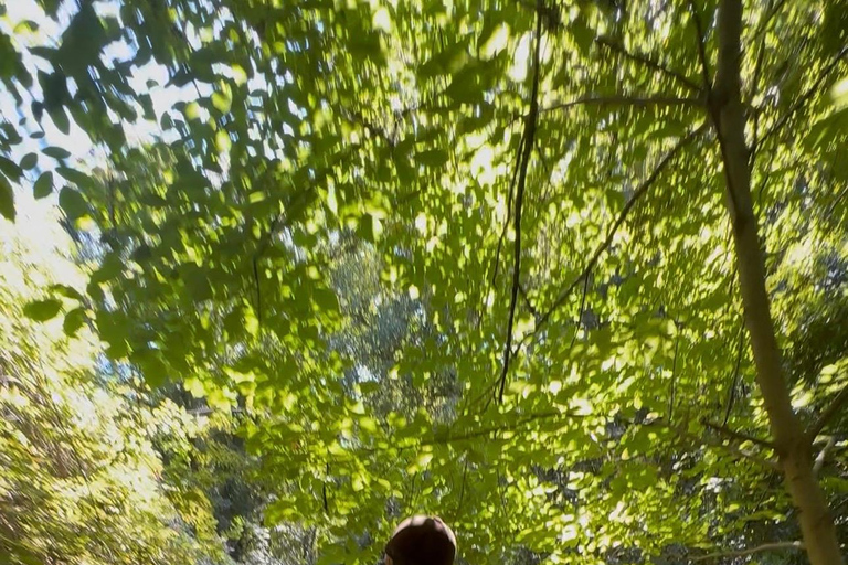 Provence: 2-hour Western horseback riding tour, refreshing break in the river Provence: 2-Hour Western Horseback Riding Tour, Refreshing Break in the River