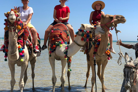 Hurghada: Camel Ride Vibes -The Ultimate Desert Experience 1-Hour Desert & Beach Camel Ride with Transfers