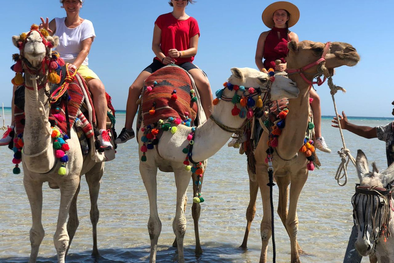 Hurghada: Camel Ride Vibes -The Ultimate Desert Experience 1-Hour Desert & Beach Camel Ride with Transfers