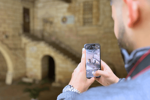 Bordeaux: Tour dei vini e dei vigneti di Saint-Émilion