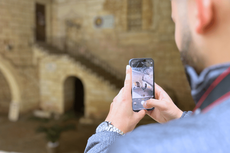 Bordeaux: Tour dei vini e dei vigneti di Saint-Émilion