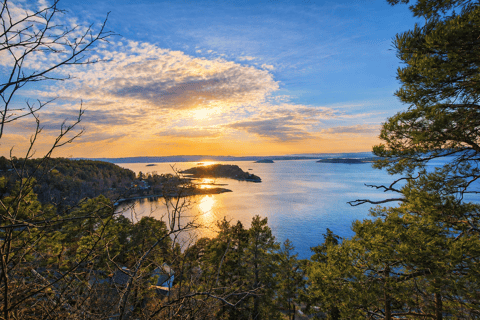 Oslo: Malmøya Guided Hike with Waffle & Salmon Tasting