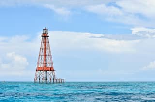 Marathon: Schnorcheltour am Sombrero Reef