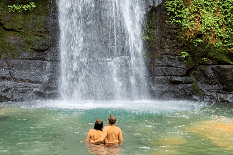 Bali: Ubud Rice Terraces, Monkey Forest & Waterfall Tour Full Package: All entry fees & lunch included