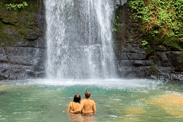 Bali: Ubud Rice Terraces, Monkey Forest & Waterfall Tour Full Package: All entry fees & lunch included