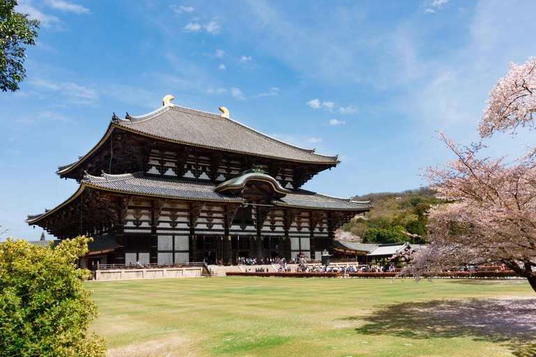 Nara Cherry Blossom Highlights Spring Day Tour from Osaka Shared Tour, Meet at Tsurutontan Soemoncho
