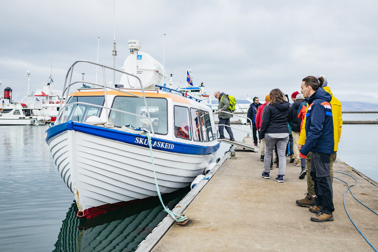 Reykjavik : Excursion en bateau pour observer les macareux