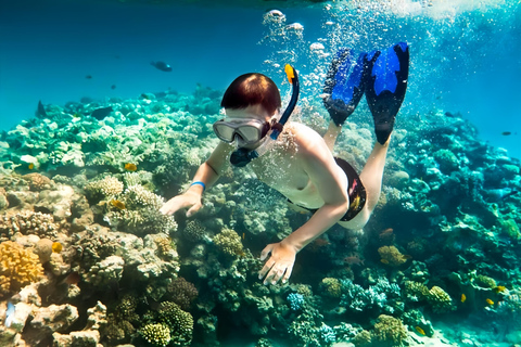 Från Da Nang/ Hoi An: Chamöarna &amp; snorkling eller dykningGruppresa