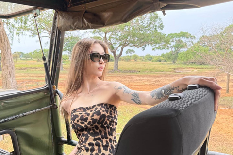 Ella to Colombo Airport / Negombo Transfer with Sightseeing