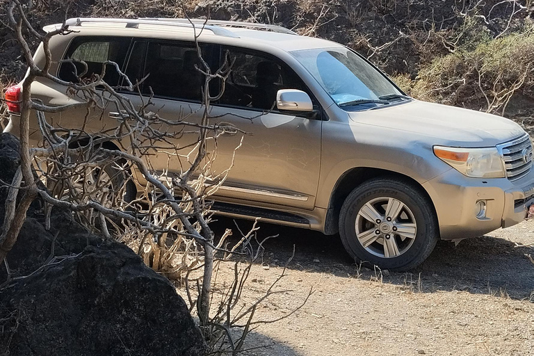 Salalah: City Highlights Guided Tour Alfizayah Salalah private tour Alfazayah Beach