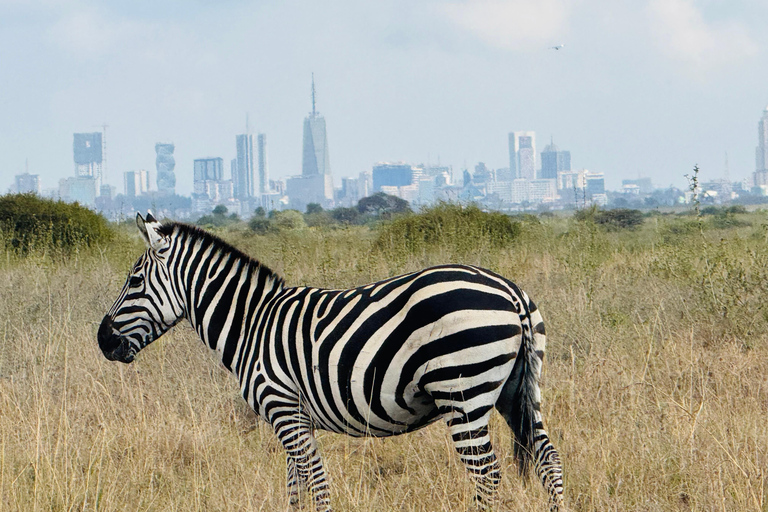Nairobi Park Safari, Sheldrick's Orphanage & Giraffe Center Shared Drive in Open-Roof Van Game Drive
