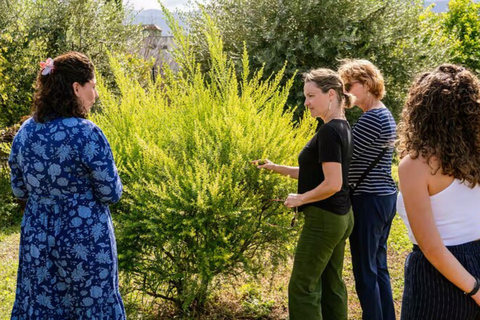 Pompeii & Cooking Class with Mamma From Naples