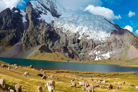 Cusco: 1-day Tour to the 7 lakes of Ausangate |with lunch|