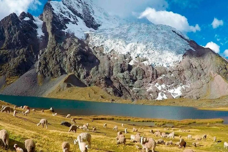 Cusco: 1-day Tour to the 7 lakes of Ausangate |with lunch|