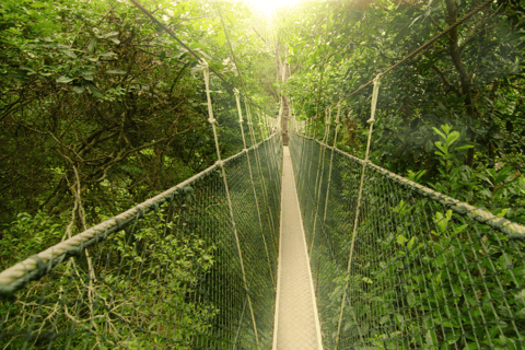 Kuala Lumpur: Park Narodowy Taman Negara: wodospad Teras