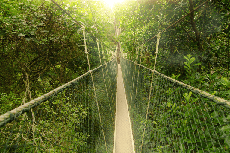 Kuala Lumpur: Taman Negara nationalpark Teras vattenfall