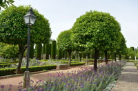 Cordóba, Gardens & Fortress of Catholic Monarchs Guided Tour - Housity