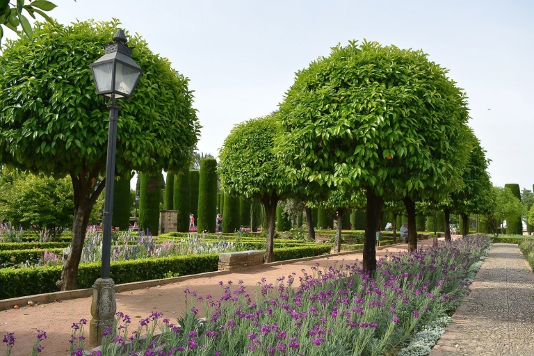 Cordóba: tour guiado jardines y fortaleza Reyes CatólicosTour guiado a los jardines y la fortaleza en inglés