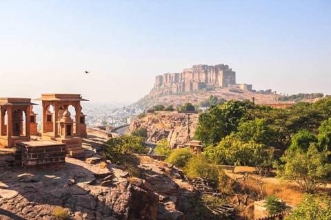 Jodhpur: Mehrangarh Fort, Jaswant Thada, and More