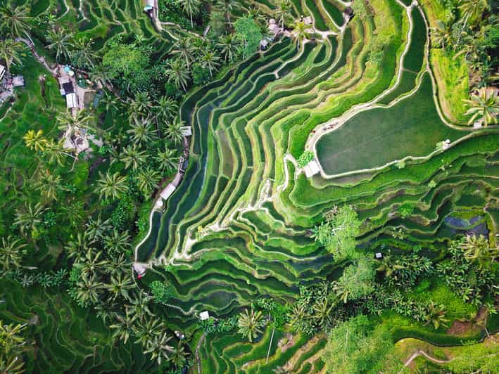 Ubud Full Day Tour with Private Car