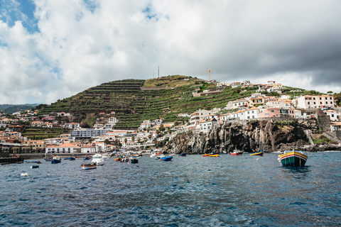 Funchal : croisière d'observation de dauphins et baleines